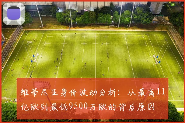 维蒂尼亚身价波动分析：从最高11亿欧到最低9500万欧的背后原因